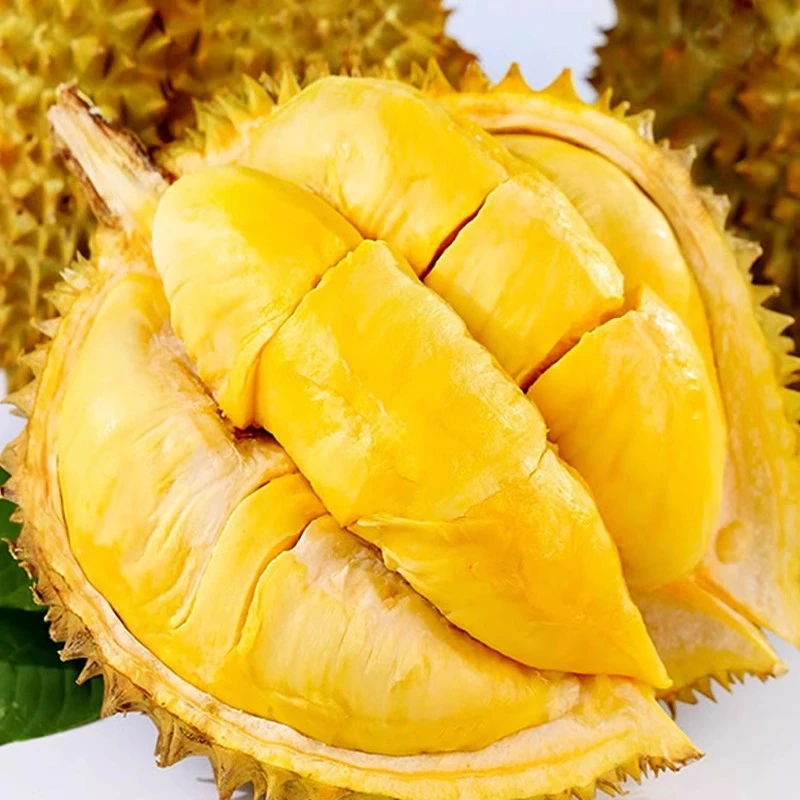 【一物一拍 现场开 介意勿拍】泰国金枕榴莲手挑树熟AA果