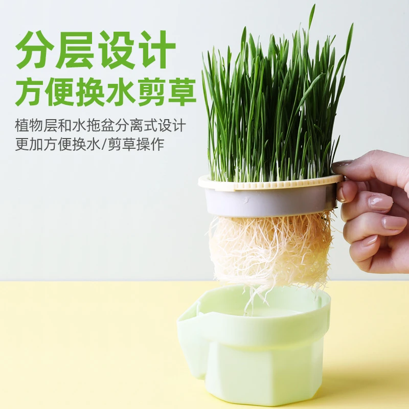 无土水培猫草杯懒人猫草杯无水培多款可选可拆卸三层分离式镂空
