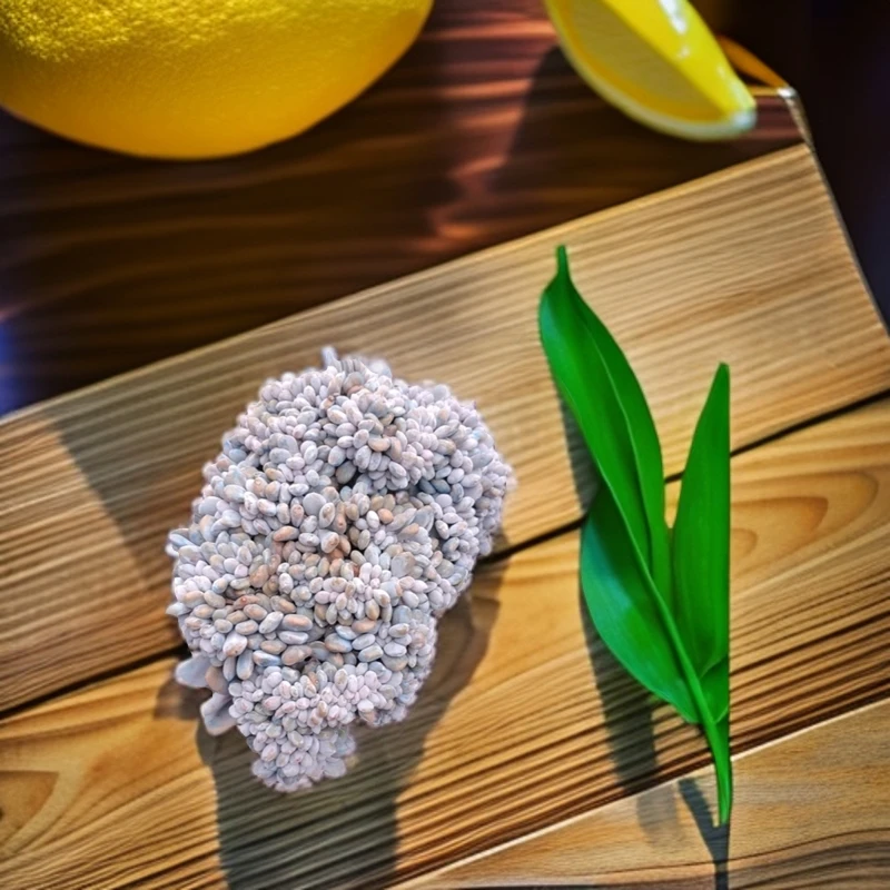 木质化星颖老桩橙子  暖暖