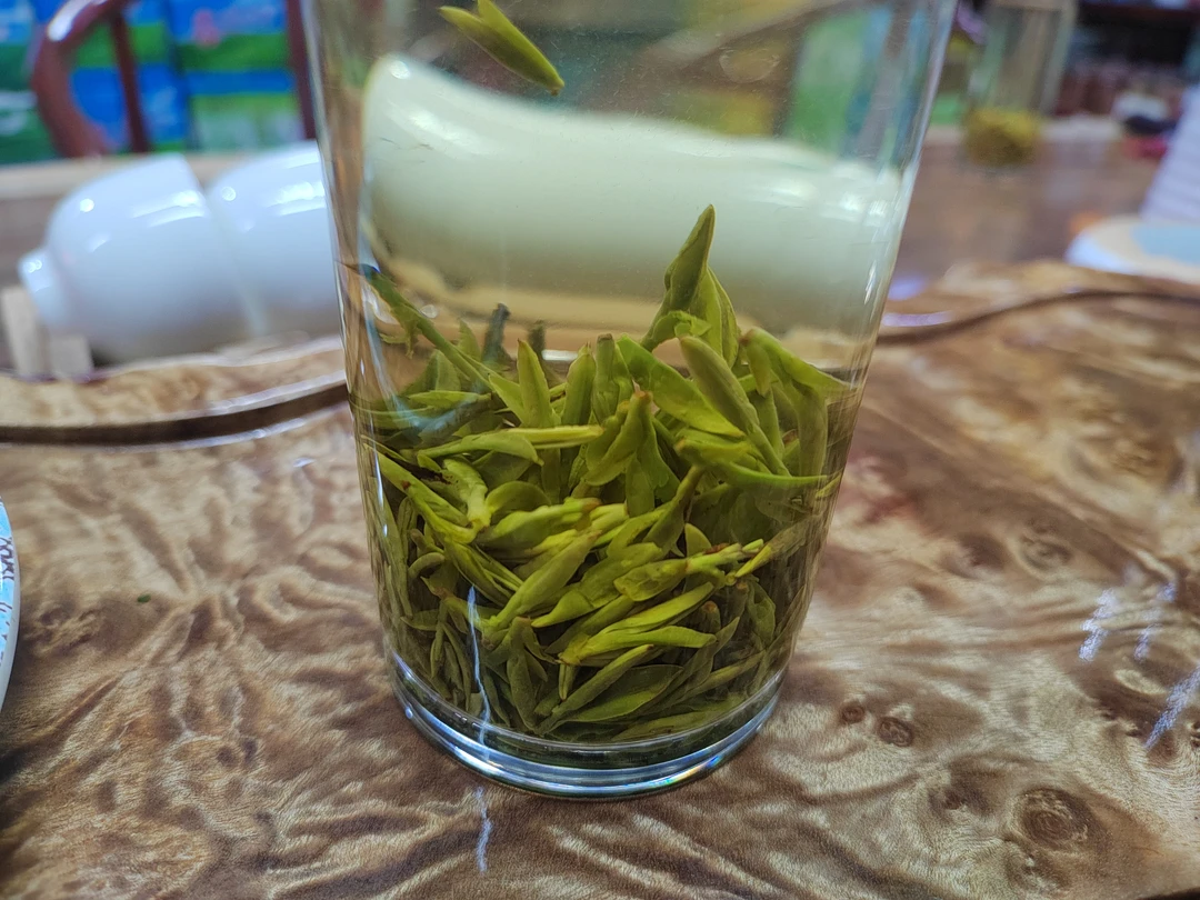 龙井茶2023新茶浓香头采