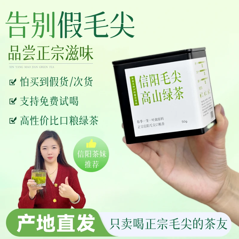 【雨前精品芽叶·高山信阳毛尖】2024新茶 高品质毛尖茶绿茶罐装50g