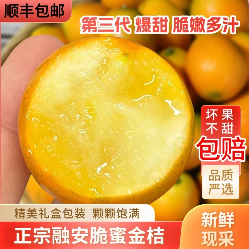 【第三代礼盒款】广西融安脆蜜金桔纯甜无酸应季水果新鲜果园直发