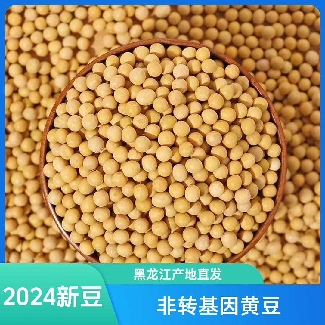 东北黄豆非转基因黄豆新豆