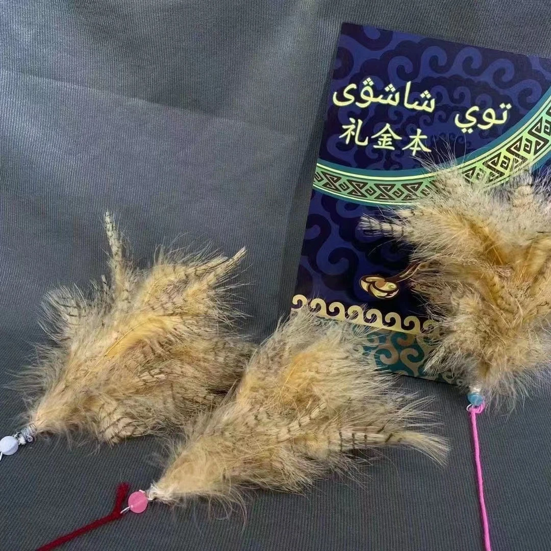 民族风礼金本  羽毛