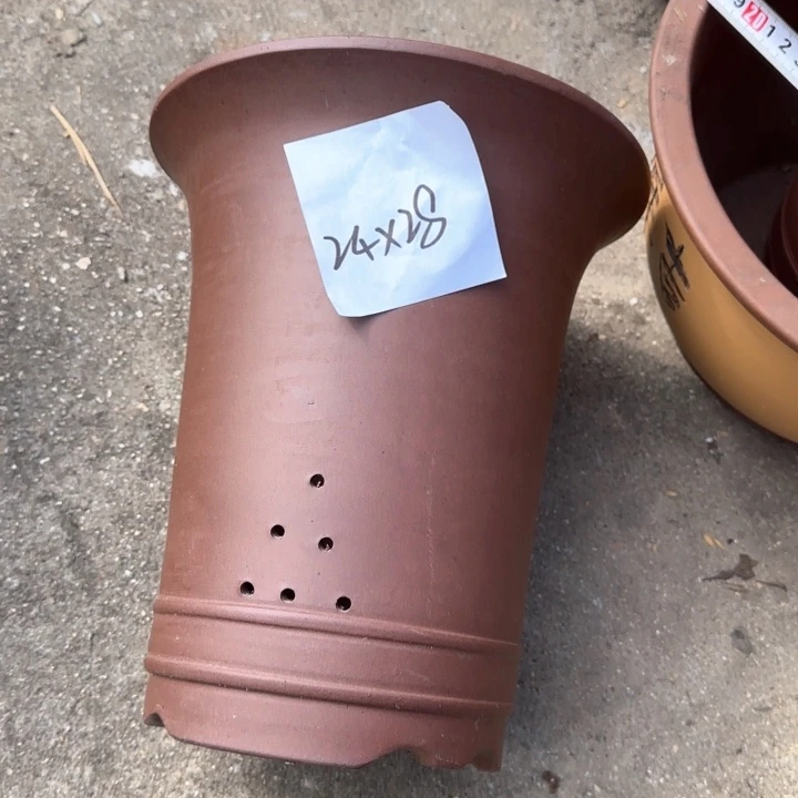 紫砂花盆双十一专属活动福利