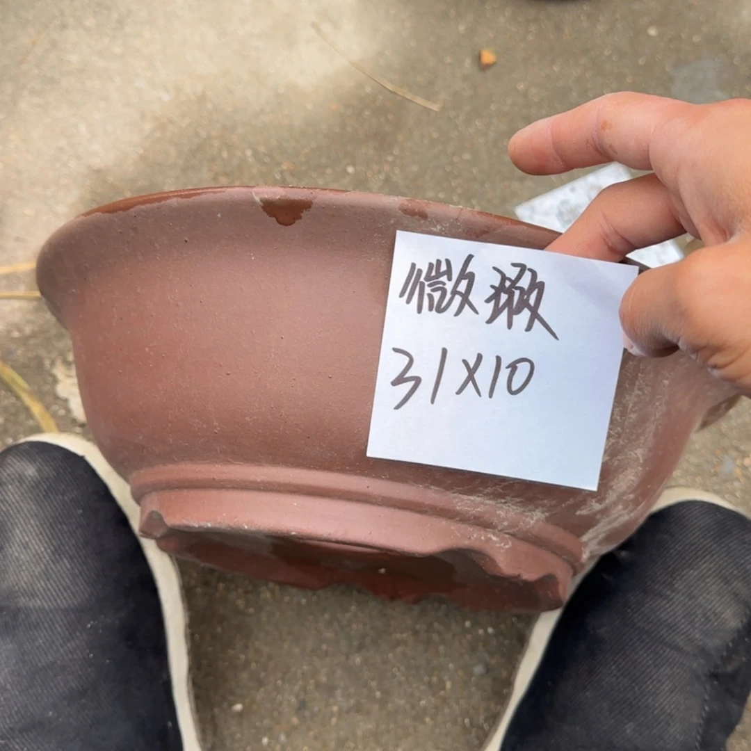 【闪购商品】紫砂花盆
