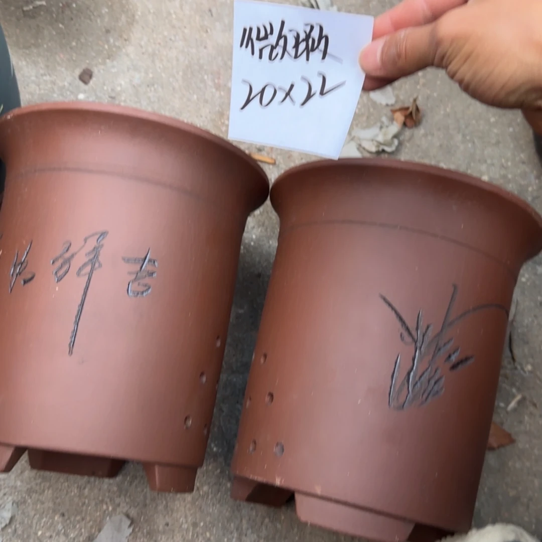 【闪购商品】紫砂花盆