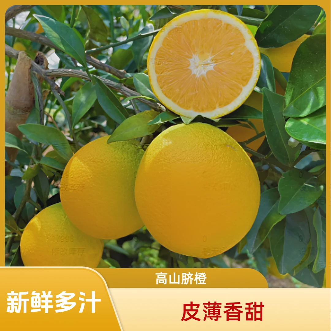 新鲜高山脐橙产地现摘现发净果5/9斤清甜多汁爽口整箱包邮