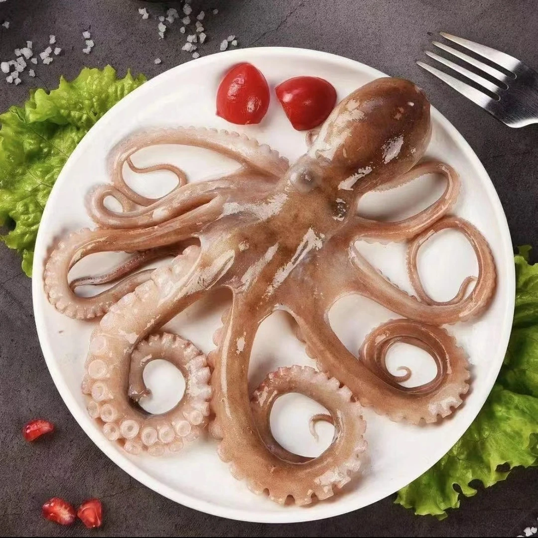 连云港发货 长腿八爪鱼美味海鲜 2斤/4斤