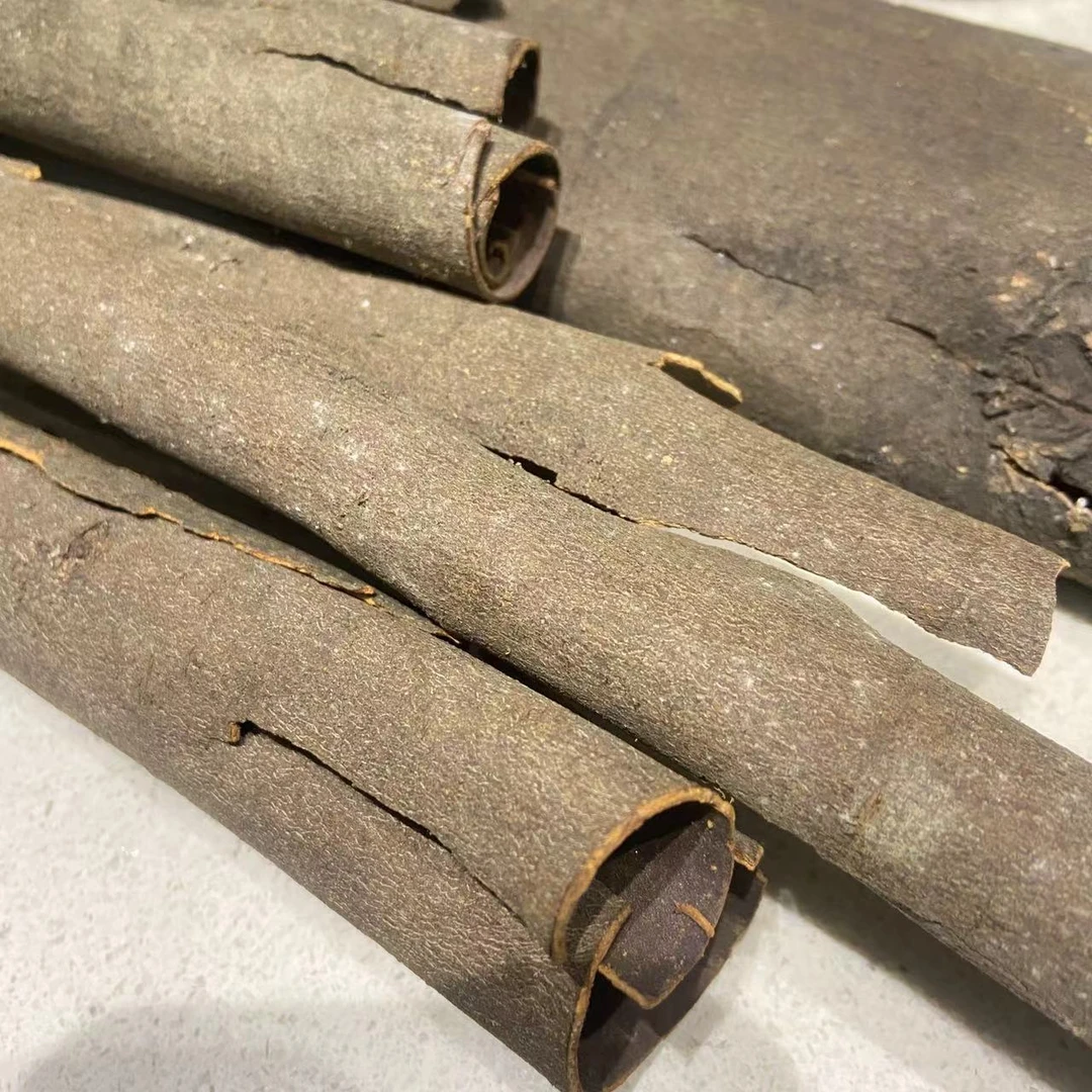 湖南野桂皮250g 当季新货