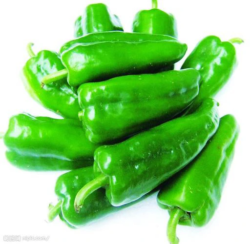 本地中椒微辣（约350g）