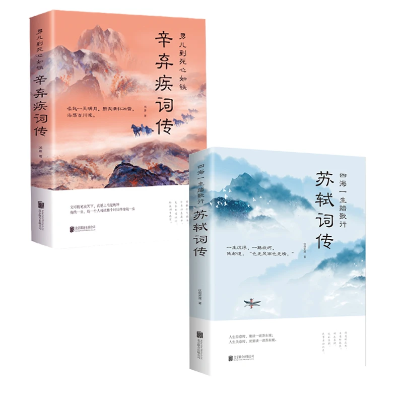 男儿到死心如铁:辛弃疾词传  苏轼词传  苏东坡诗词文学 诗歌词曲