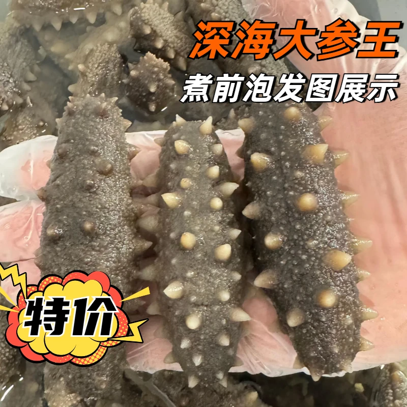 长海县深海纯淡干 干海参 海参