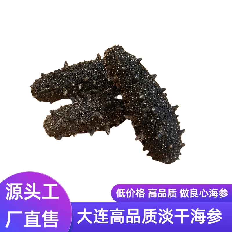 大连产地高品质特纯淡干肉质干海参