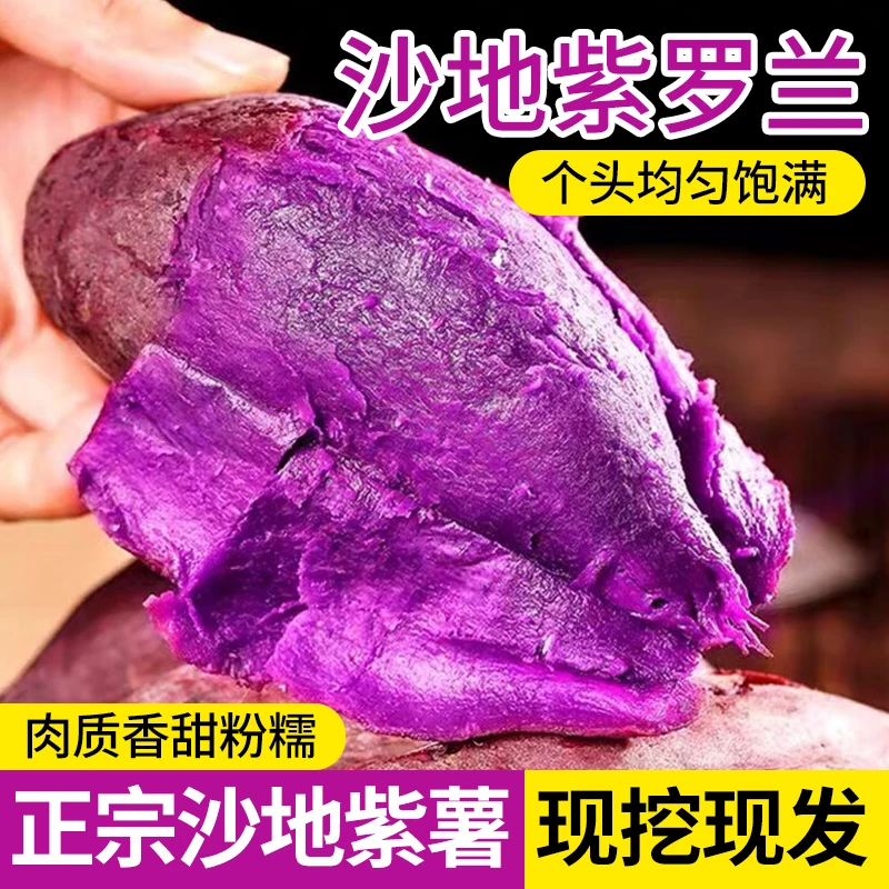 沙土地紫薯紫罗兰粉糯香甜