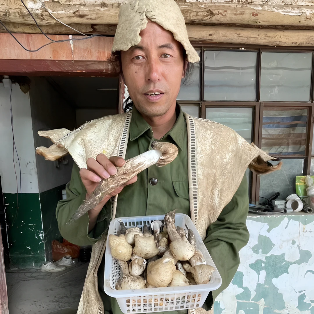 【三菇爹专属】正宗云南武定野生鸡枞油128一瓶包邮 纯手工制作