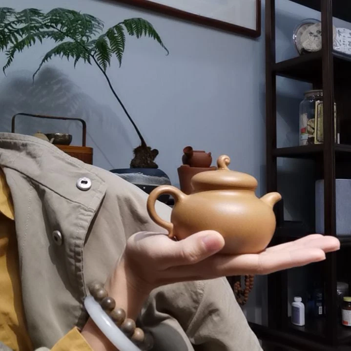 【闪购商品】紫砂茶壶茂*