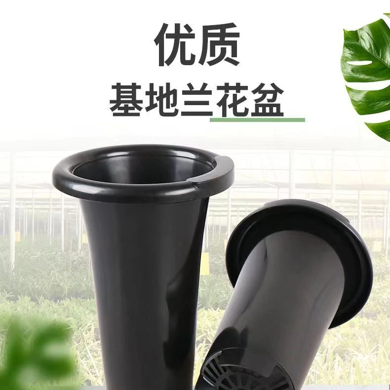 基地兰花盆塑料兰花园盆排水透气养根盆栽花卉绿植花盆优质简约