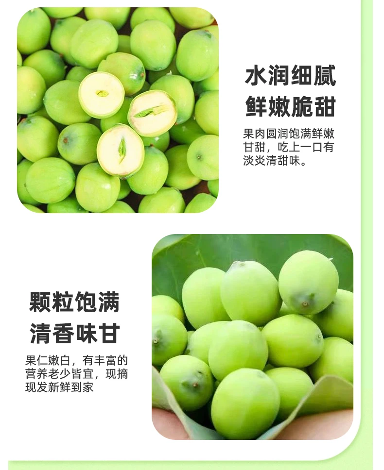 2025新鲜时令水果精品嫩莲子生吃煲汤孕妇小孩可食用鲜嫩清甜多汁