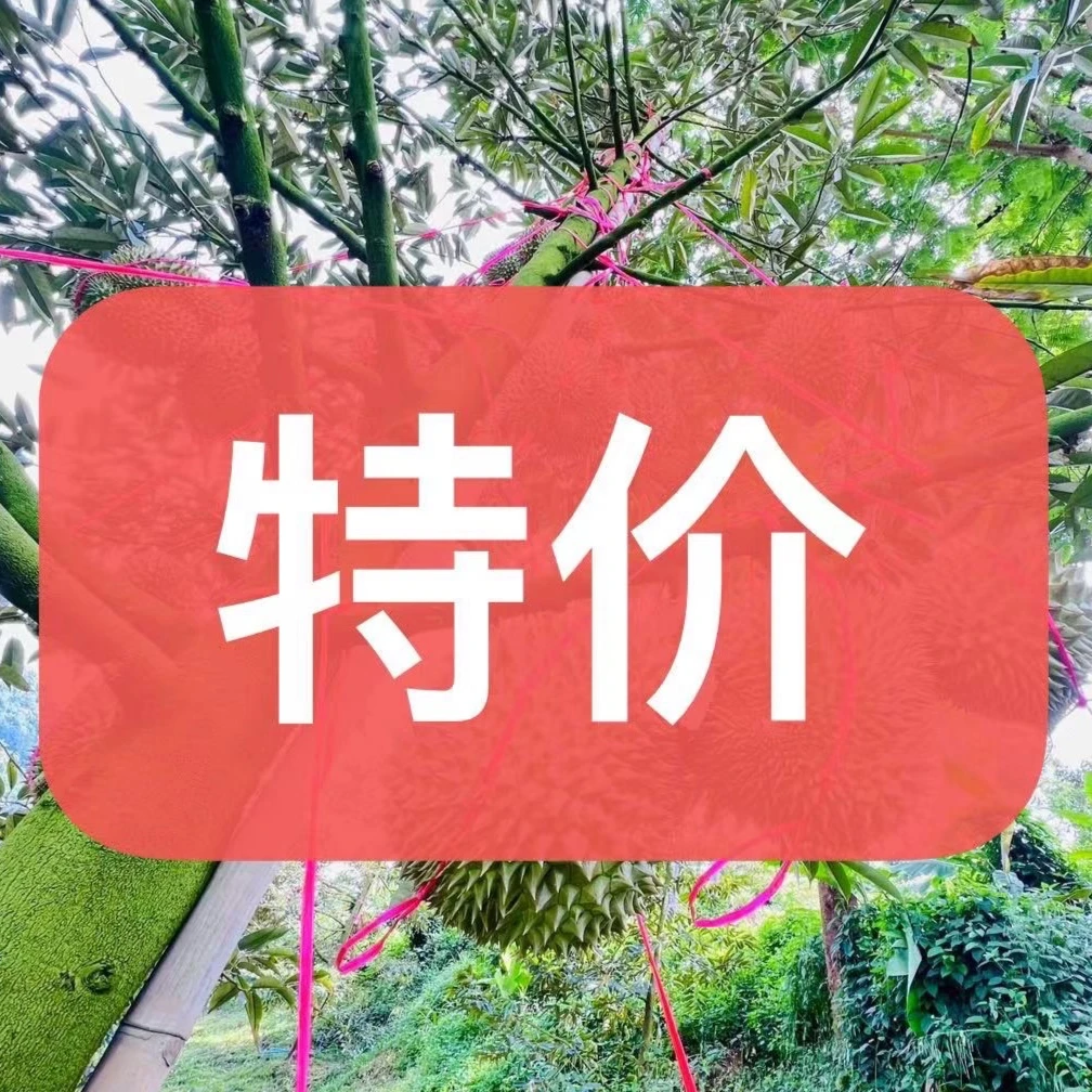 【特价】泰国树熟新鲜金枕榴莲 2斤核小（特价果不售后）金枕泰国