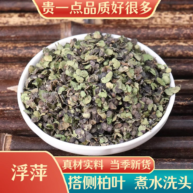 浮萍水草中药材浮萍草紫背浮萍浮平小水浮萍植物洗头搭侧柏叶