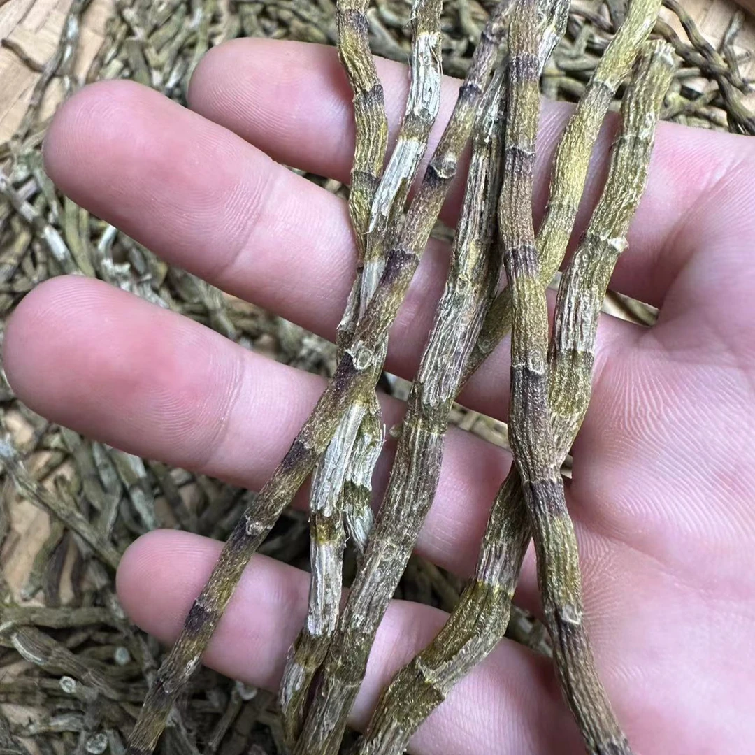 【铁皮石斛】铁皮石斛可搭配灵芝煮水