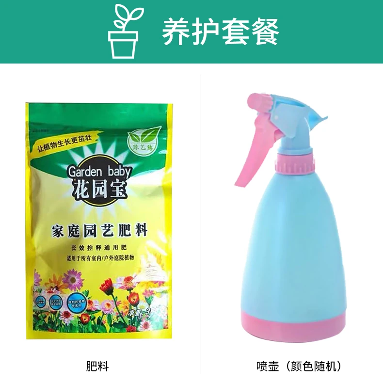 【绿植养护套餐】专用肥料盆栽植物室内绿植养花肥通用肥