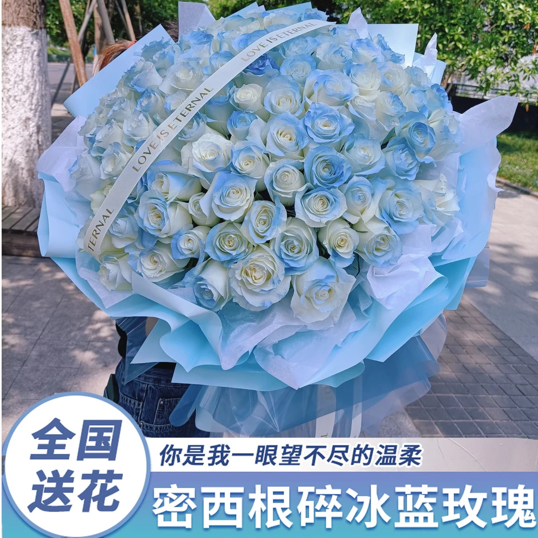 【星辰大海】密西根碎冰蓝花束节日送爱人女友鲜花全国速递同城配送