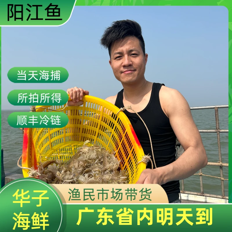 广东海陵岛现捕皮皮虾冰鲜发货