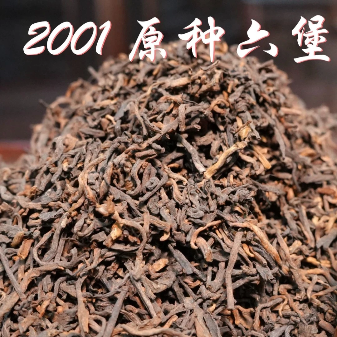 （陶罐装100克） 01002 2001年原种六堡茶 六通六堡茶 梧州六通