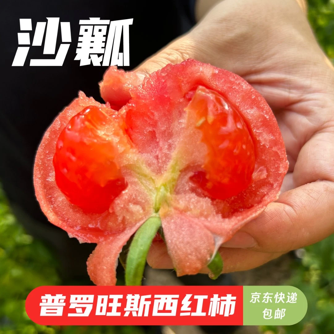 家禾兄弟【精品装】普罗旺斯水果西红柿沙瓤多汁新鲜采摘自然成熟