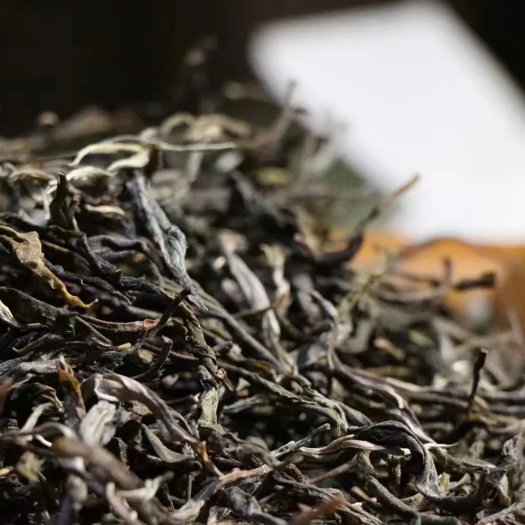 【2024年头春】绿水塘古树散料（生茶 ）1000克/份