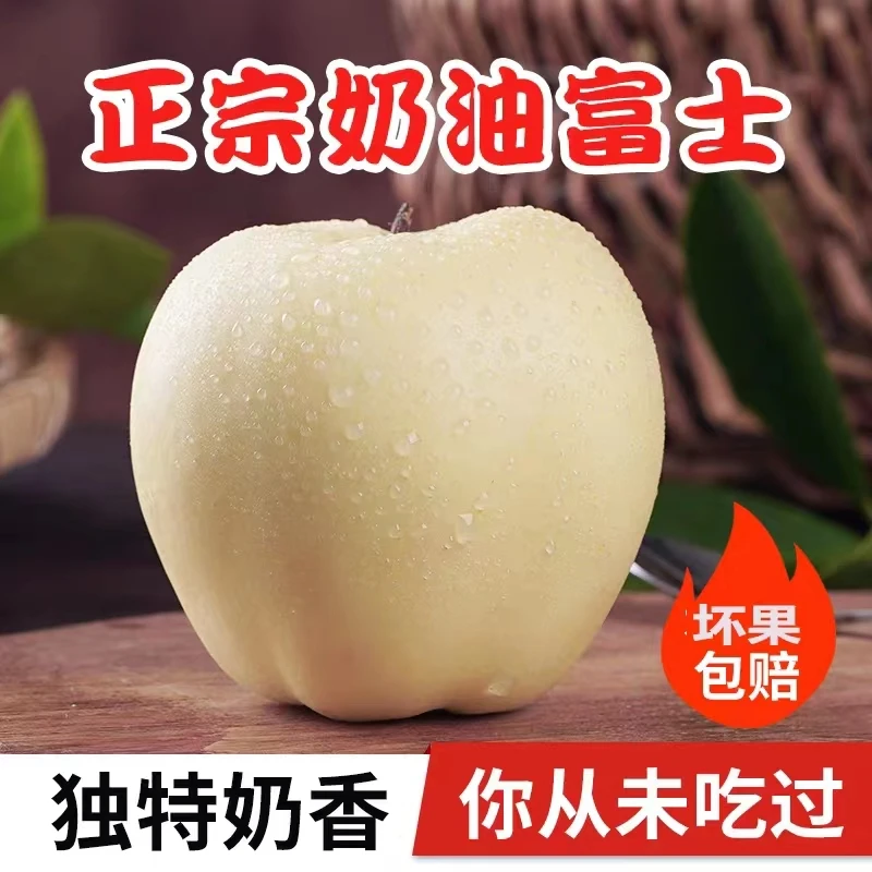 烟台奶油富士苹果  脆甜多汁 新鲜水果 产地直发  4.5斤