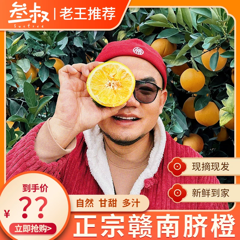 【叁叔专属】正宗赣南脐橙果园现摘水果产地直发尊品果