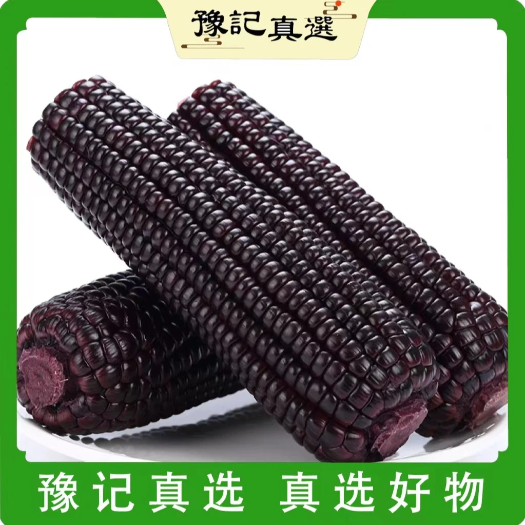 【祥润商行】CTV展播品牌贝朗熊山西黑糯玉米软糯清香6根真空包装