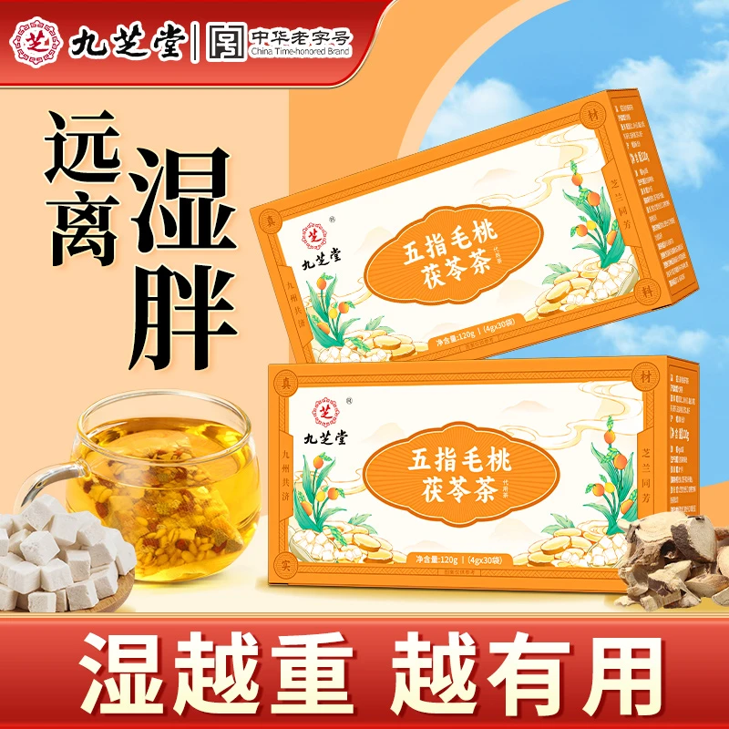 【濕濕茶】九芝堂五指毛桃茯苓茶土茯苓陈皮易困易乏养生茶120g/盒