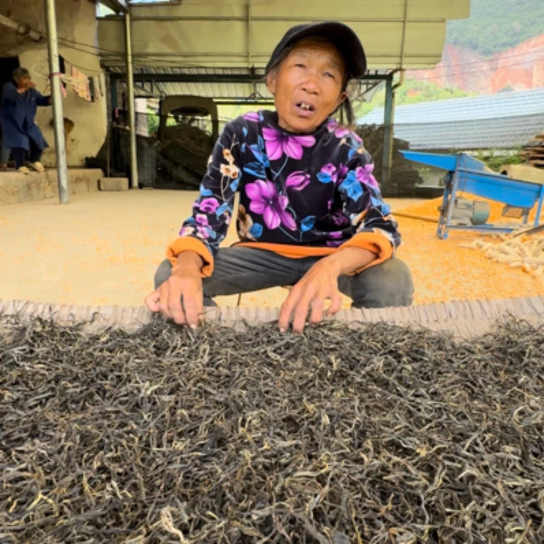 杨顺花21年古树茶/春茶/散茶