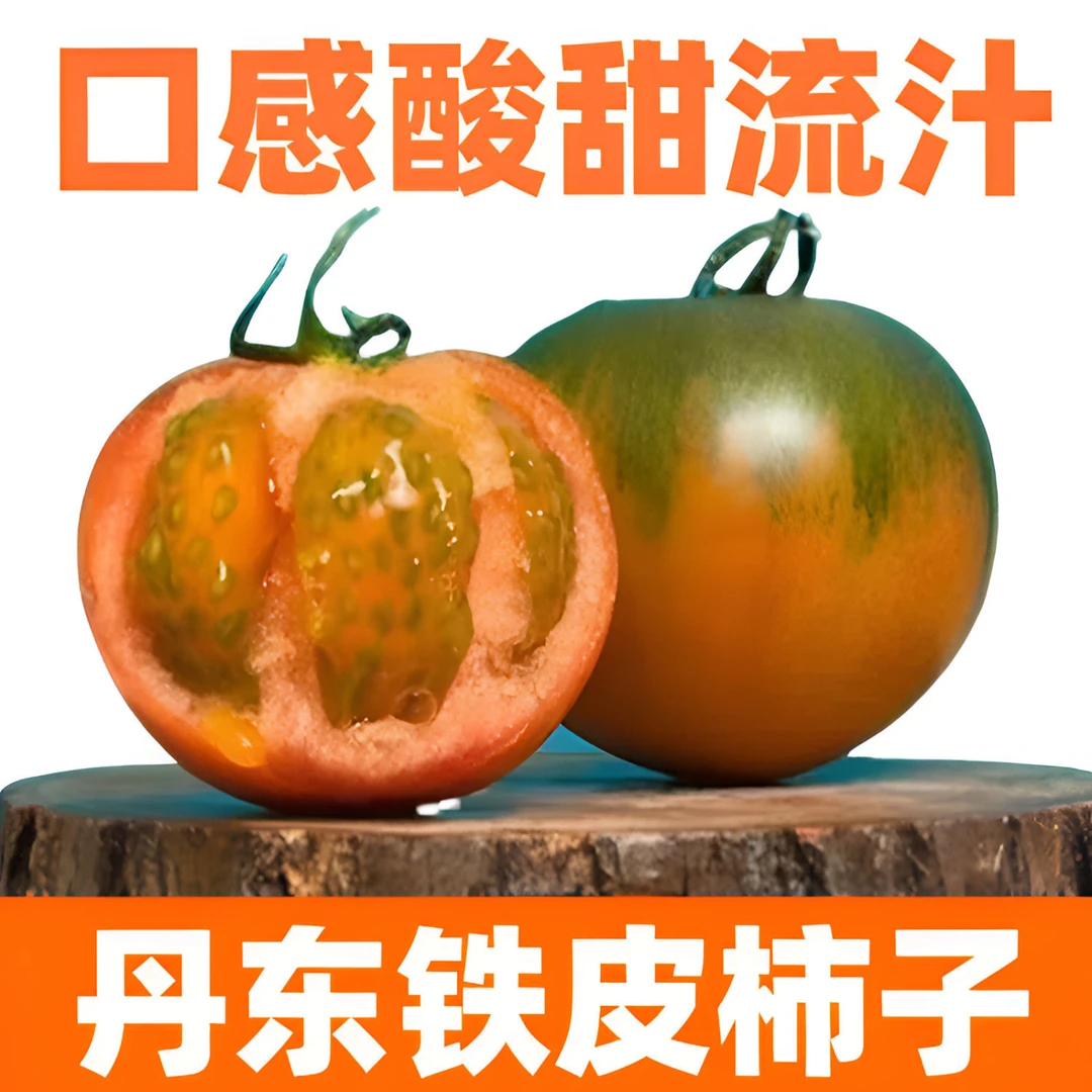 丹东铁皮柿子草莓柿子碱地柿子鹰爪番茄三斤五斤包邮