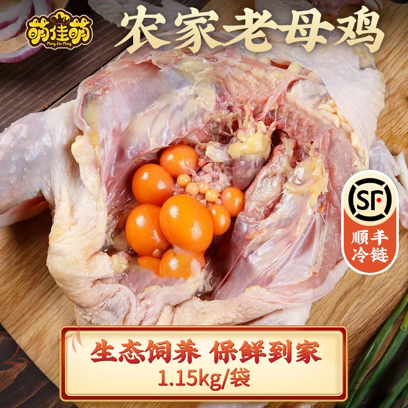 【旗舰店爆款】农家鸡鸭鸽黄油老母鸡老麻鸭生态鸽350g冷冻老母鸡
