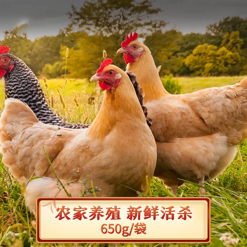 音音【顺丰】上海优质走地鸡童子鸡650g*4只装保鲜散养土鸡新鲜整鸡