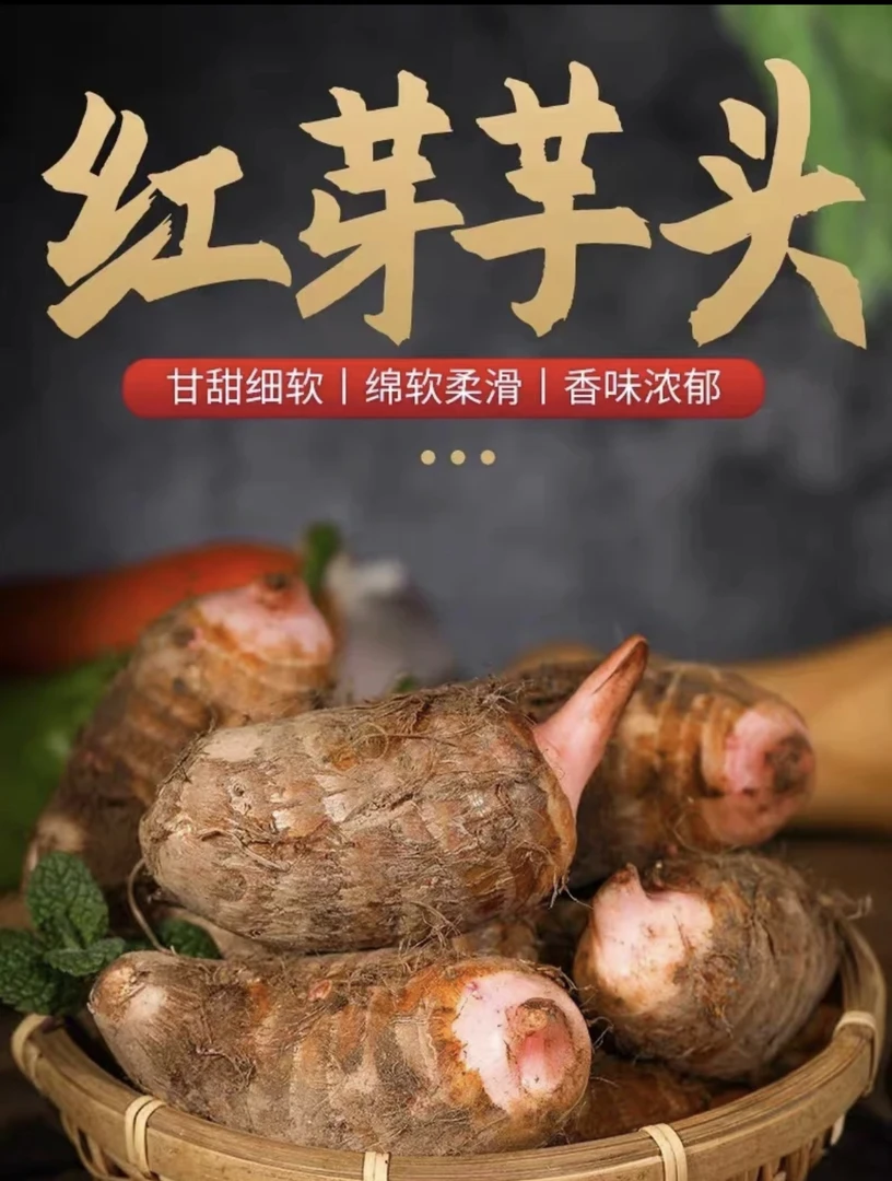 2025年黄台岗新鲜现挖红芽红香芋头粉糯香甜口感细腻香味浓郁好吃