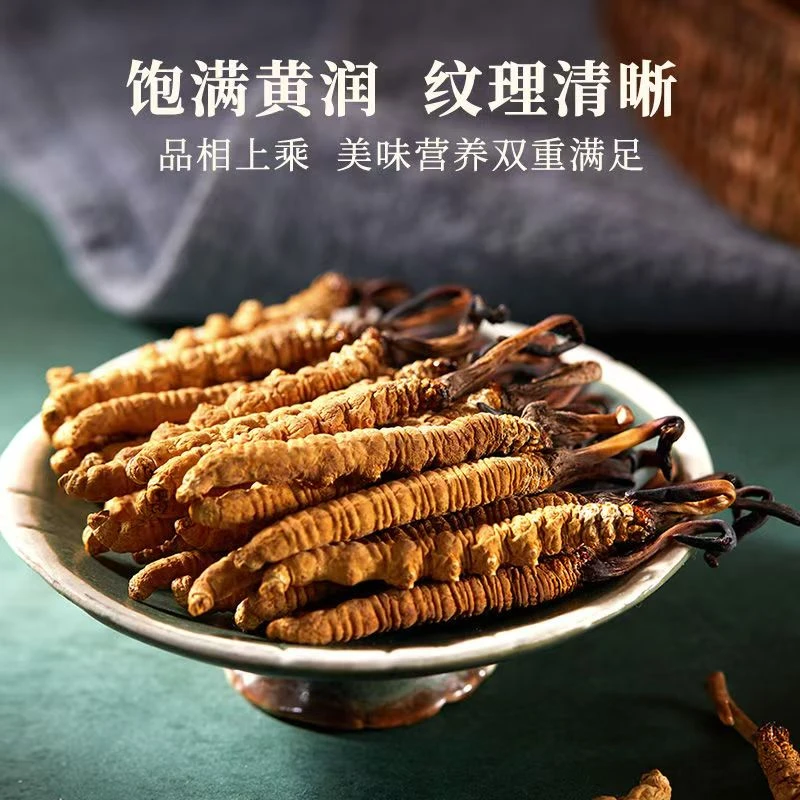 2024年新货头期冬虫夏草大虫草西藏那曲礼盒整根野生高品质滋补