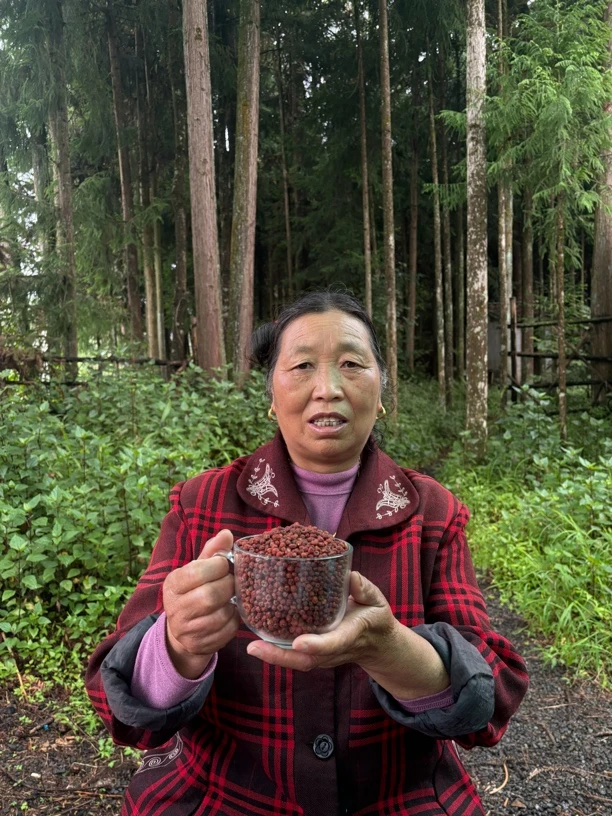 现收紫～山～果干货农产品500g