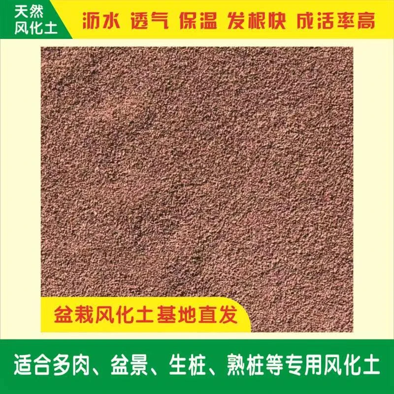 天然弱酸性颗粒风化土、生根壮苗适合花卉盆景兰花生熟桩透气沥水