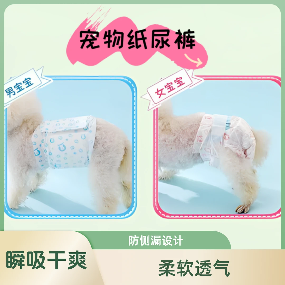 宠物纸尿裤狗狗生理裤金毛姨妈期一次性生理裤狗狗纸尿裤舒适干爽