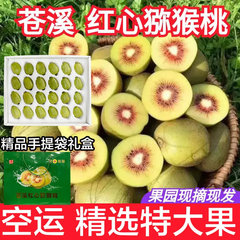 【手提袋礼盒】正宗苍溪红心猕猴大果特大果桃新鲜水果奇异果包邮