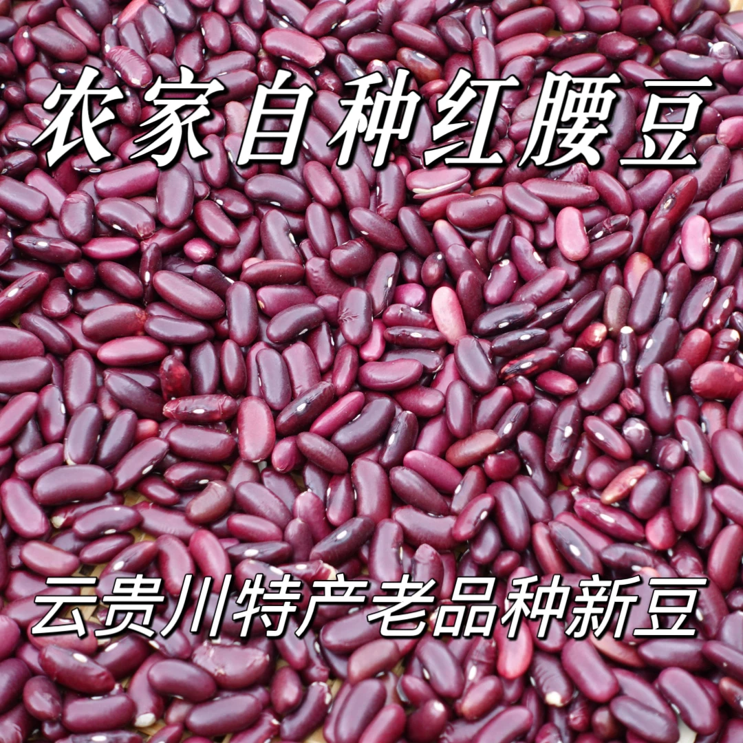 贵州特干货红腰豆芸豆红豆酸菜豆米颗粒饱满产农家自种新豆好煮