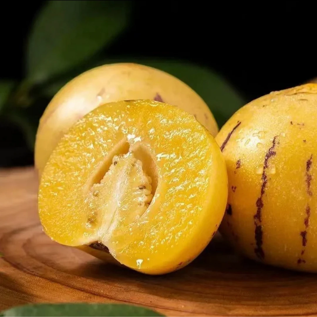 人参果种子人生果人身果苗子室内盆栽黄心圆果四季种植特色水果籽