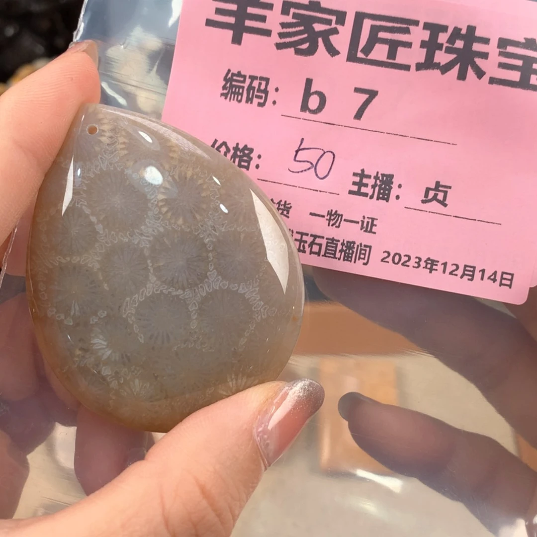 【闪购商品】硅化珊瑚（珊瑚玉）颈饰未镶嵌迷***人B7
