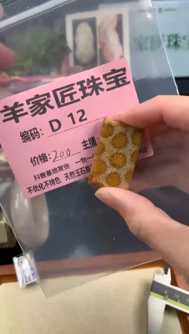 【闪购商品】硅化珊瑚(珊瑚玉)颈饰未镶嵌D12